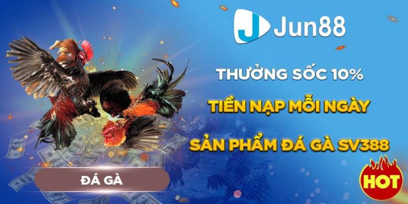 Sảnh chơi SV388 tại Jun88 cung cấp nhiều chương trình khuyến mãi