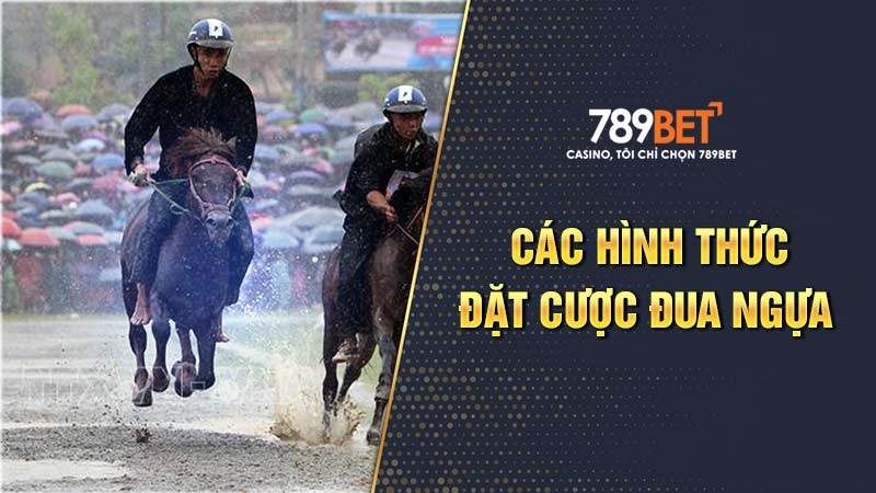 Các hình thức đặt cược đua ngựa 789BET